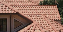 roof tile cleaning